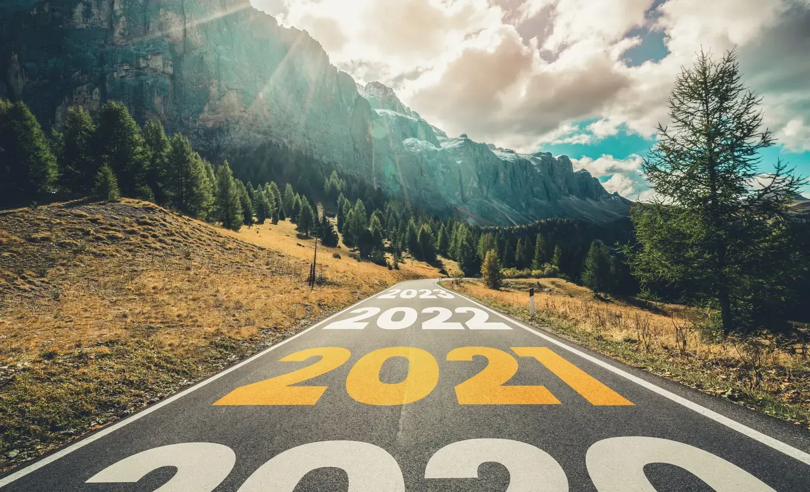 A look back: Five highlights from 2021