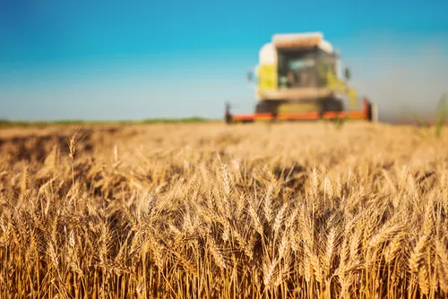 Case study: Agri-Food Sector