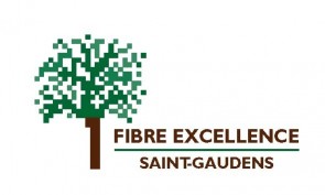 Fibre Excellence