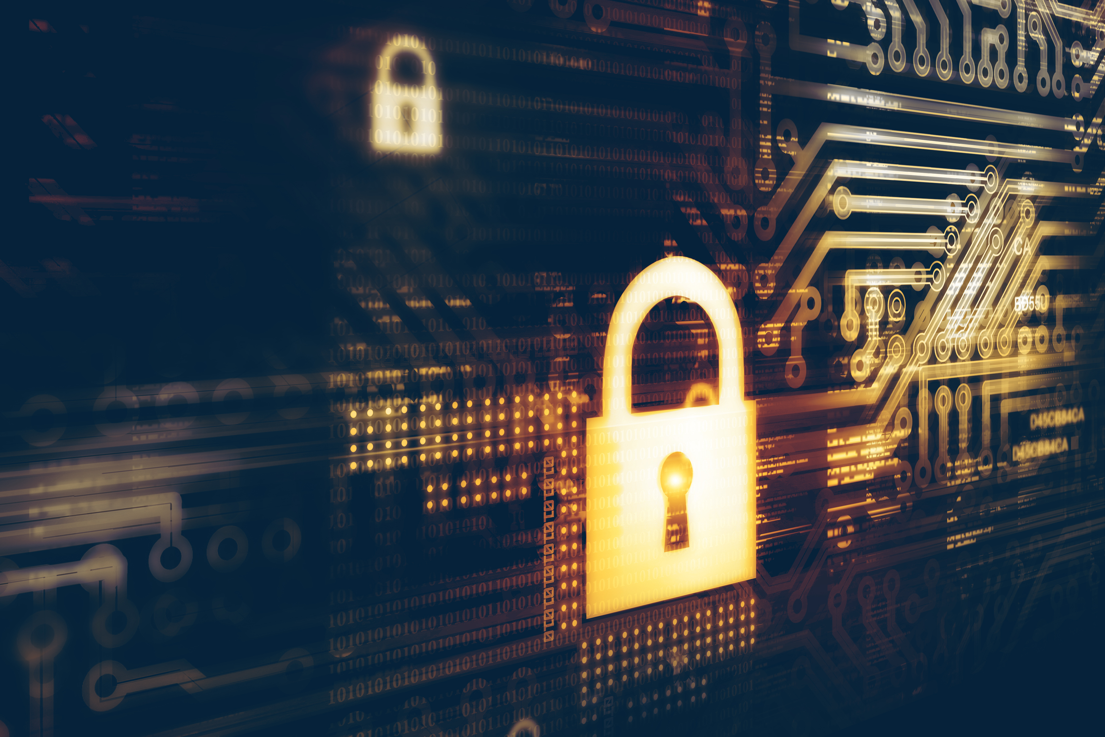 security of its software
